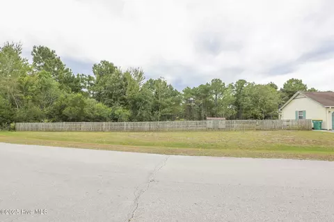 Other - 166 Parnell Rd, Hubert, NC 28539 photo 9 of 11