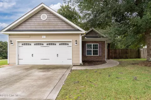 411 Peppermint Dr, Hubert, NC 28539 photo 3