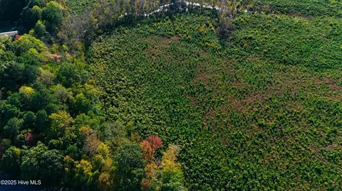 tbd Cove Rd, Hertford, NC 27944