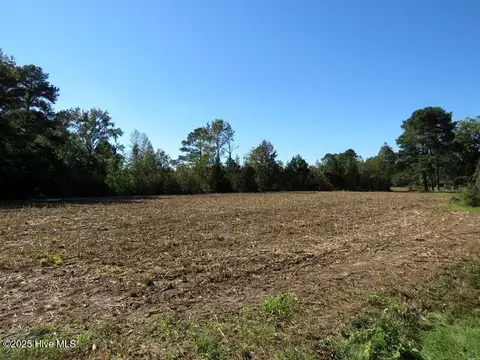 7 Conway Rd, Fair Bluff, NC 28439 photo 11