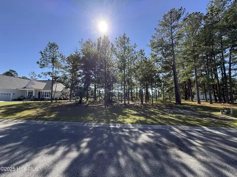 3705 Little Berry Pl NE, Leland, NC 28451