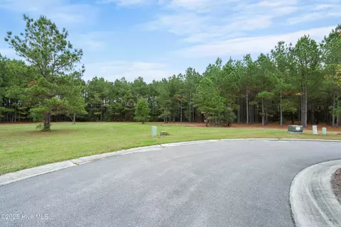 328 Cellars Way, Wallace, NC 28466 photo 12