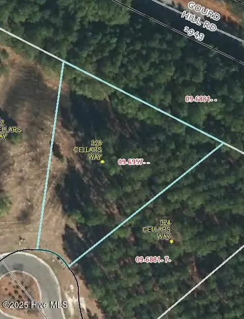328 Cellars Way, Wallace, NC 28466 photo 26