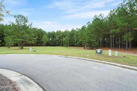 328 Cellars Way, Wallace, NC 28466 photo 10