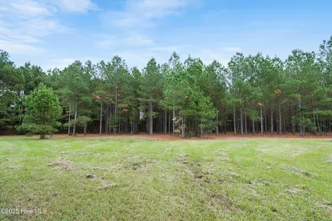 328 Cellars Way, Wallace, NC 28466 photo 11