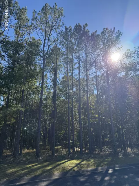 606 Bendigo Psge SE, Bolivia, NC 28422