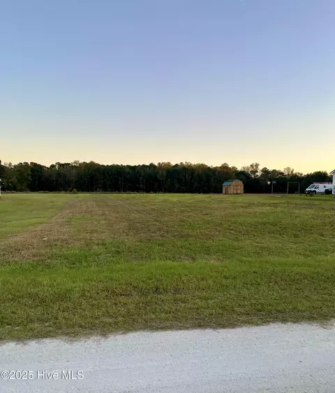 117 Whispering Pines Ln, Magnolia, NC 28453