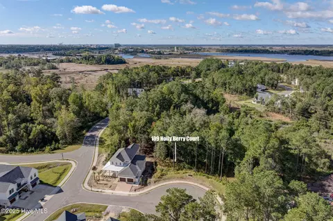 109 Holly Berry Ct, Wilmington, NC 28401