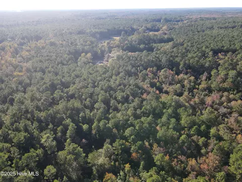 282 James E Moore Rd, Currie, NC 28435 photo 9