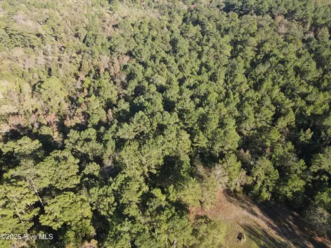 282 James E Moore Rd, Currie, NC 28435 photo 11