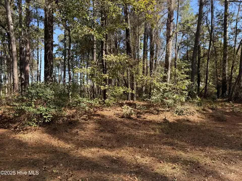 254 Falling Creek Ln, Goldsboro, NC 27530