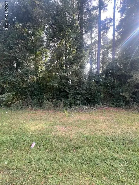 5355 Old Maxton Road Rd, Laurinburg, NC 28352