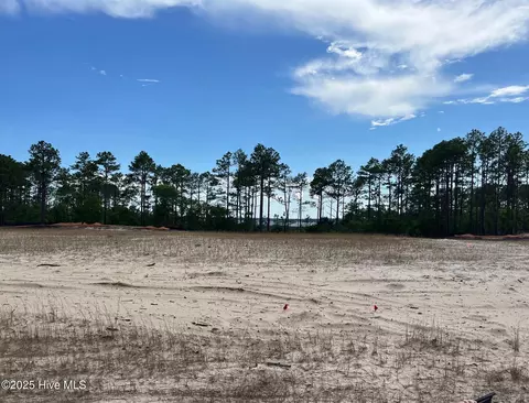 5704 Moonshell Loop, Wilmington, NC 28412 photo 4