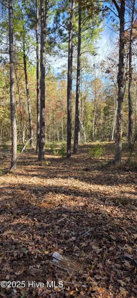 1 Cameron Hill Rd, Cameron, NC 28326 photo 6