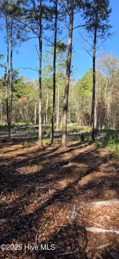 1 Cameron Hill Rd, Cameron, NC 28326 photo 7