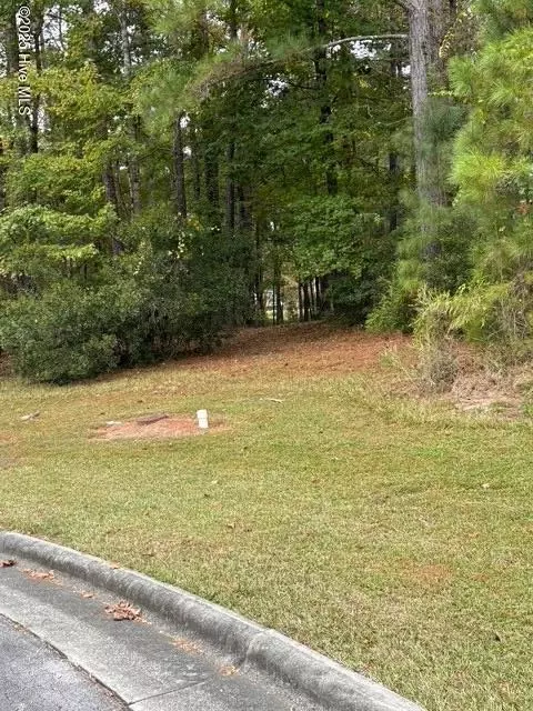 3808 Lichen Ln, New Bern, NC 28562