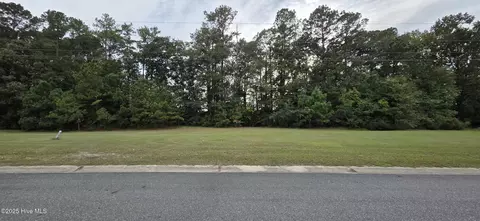 710 Birch Rd, Grifton, NC 28530