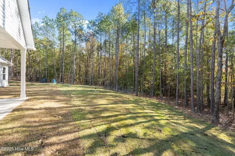 178 Grahams Mill Ln, Cameron, NC 28326 photo 40
