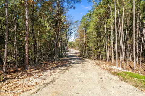 178 Grahams Mill Ln, Cameron, NC 28326 photo 48