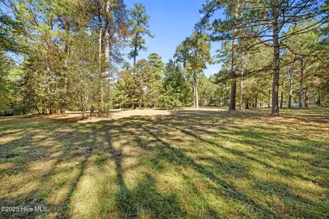 Exterior - 176 Causey Rd, Vass, NC 28394 photo 23 of 24