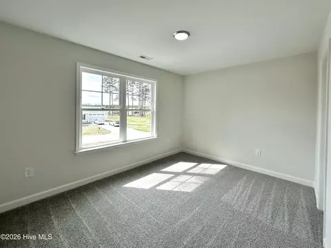 1739 Cardinal Dr, Deep Run, NC 28525 photo 30