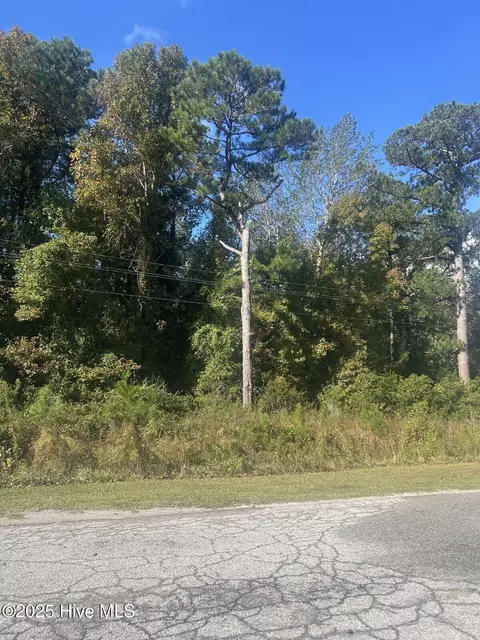 000 Park Ln, Sneads Ferry, NC 28460