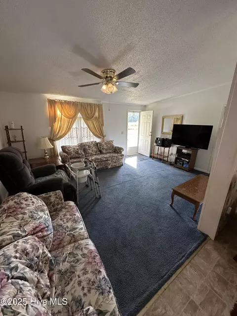 Living - 1232 Mears Ln, Clarkton, NC 28433 photo 1 of 4