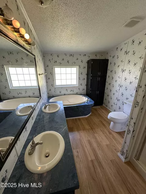 Bath - 1232 Mears Ln, Clarkton, NC 28433 photo 1 of 4