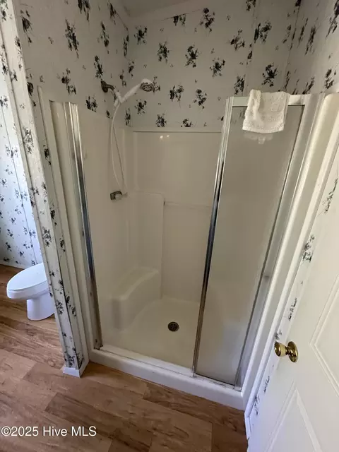 Bath - 1232 Mears Ln, Clarkton, NC 28433 photo 2 of 4