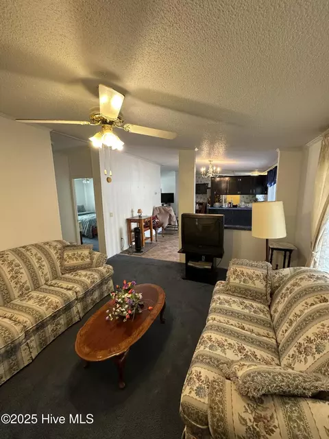 Living - 1232 Mears Ln, Clarkton, NC 28433 photo 3 of 4