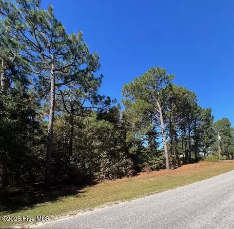 tbd Cloud Ave, Hamlet, NC 28345 photo 3