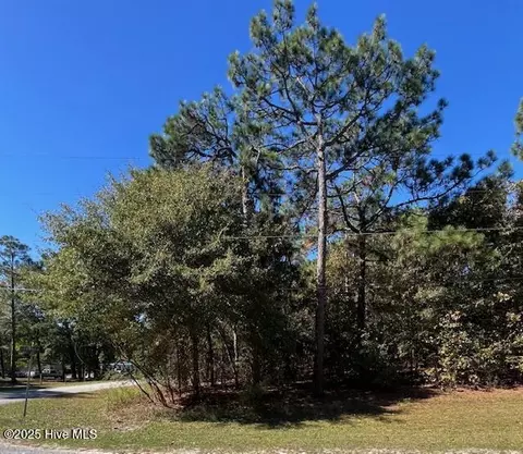 tbd Cloud Ave, Hamlet, NC 28345 photo 2
