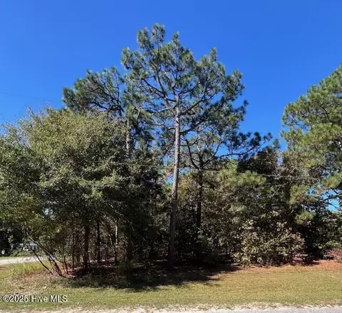 tbd Cloud Ave, Hamlet, NC 28345 photo 4