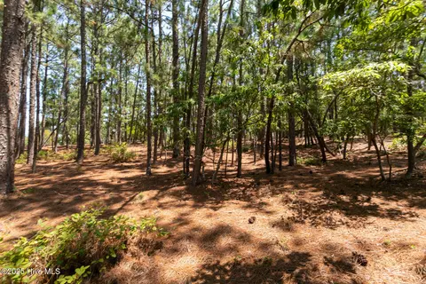 106 Brendell Ct, West End, NC 27376