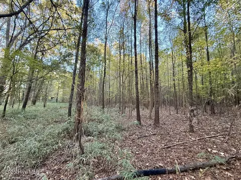 247 Quitsna Rd, Windsor, NC 27983 photo 9