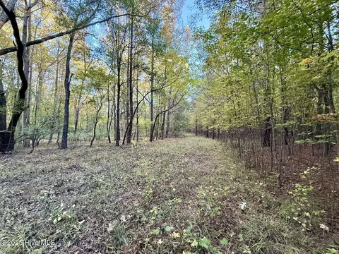 247 Quitsna Rd, Windsor, NC 27983 photo 7