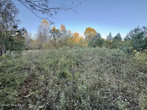 247 Quitsna Rd, Windsor, NC 27983 photo 23