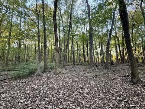 247 Quitsna Rd, Windsor, NC 27983 photo 4