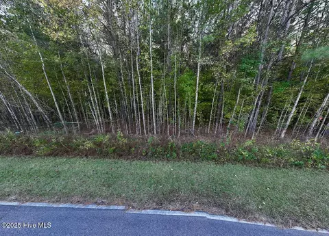 247 Quitsna Rd, Windsor, NC 27983 photo 27