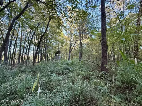 247 Quitsna Rd, Windsor, NC 27983 photo 14