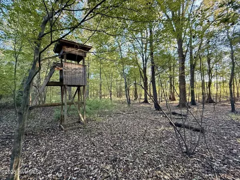 247 Quitsna Rd, Windsor, NC 27983 photo 17