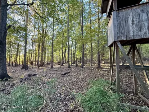247 Quitsna Rd, Windsor, NC 27983 photo 18