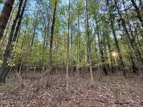 247 Quitsna Rd, Windsor, NC 27983 photo 13