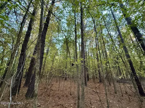 247 Quitsna Rd, Windsor, NC 27983 photo 16