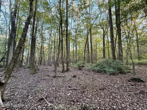 247 Quitsna Rd, Windsor, NC 27983 photo 5