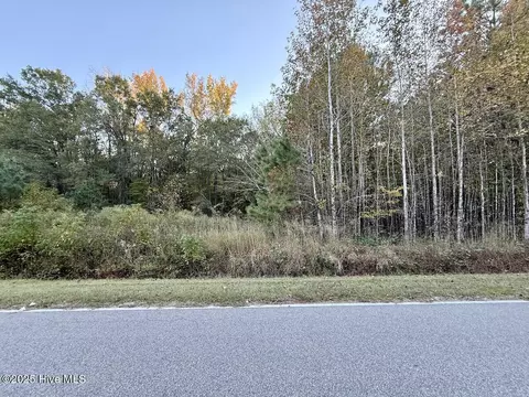247 Quitsna Rd, Windsor, NC 27983 photo 24