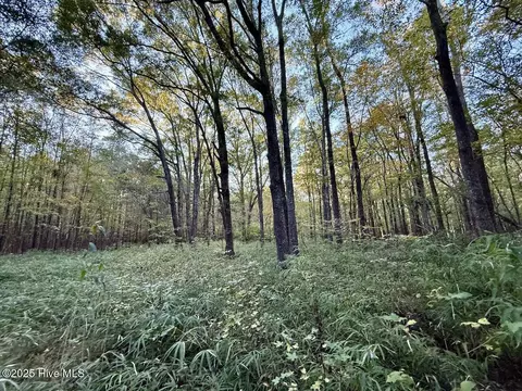247 Quitsna Rd, Windsor, NC 27983 photo 15