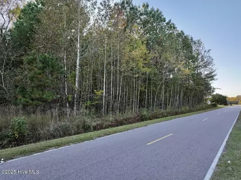 247 Quitsna Rd, Windsor, NC 27983 photo 25