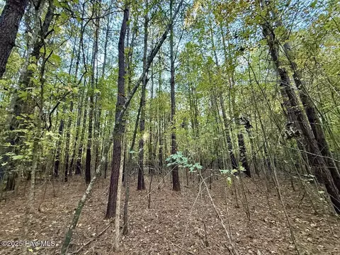 247 Quitsna Rd, Windsor, NC 27983 photo 8