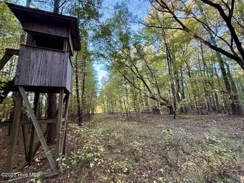 247 Quitsna Rd, Windsor, NC 27983 photo 6